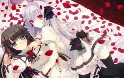 Tsuki ni Yorisou Otome no Sahou official visual fanbook hentai