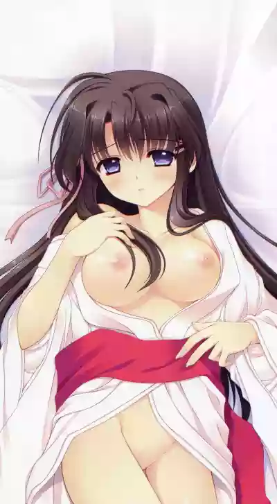 Tsuki ni Yorisou Otome no Sahou official visual fanbook hentai