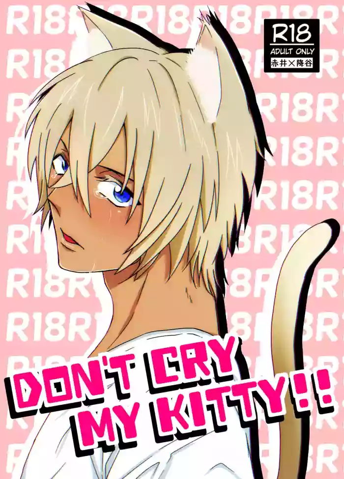 DON'T CRY MY KITTY!! hentai