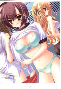 Otome wa boku ni koi shiteru Visual Fanbook hentai