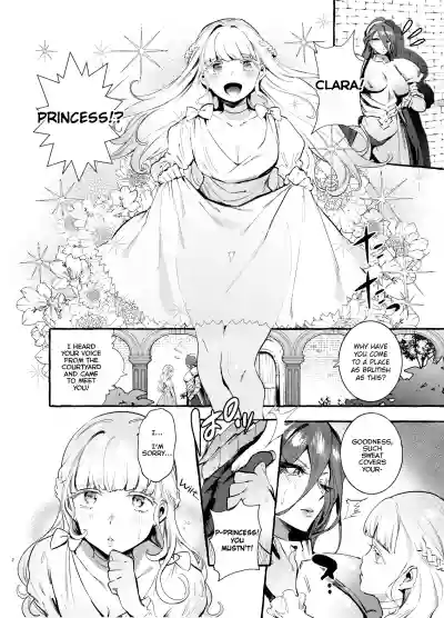 Ochinpo Onna Knight to Shojo Hime | The Princess and the Knight of the Dick hentai