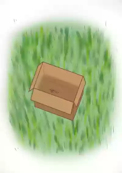 Mimizu Senbiki, Hako no Naka! | 1000 Earthworms in the Box hentai