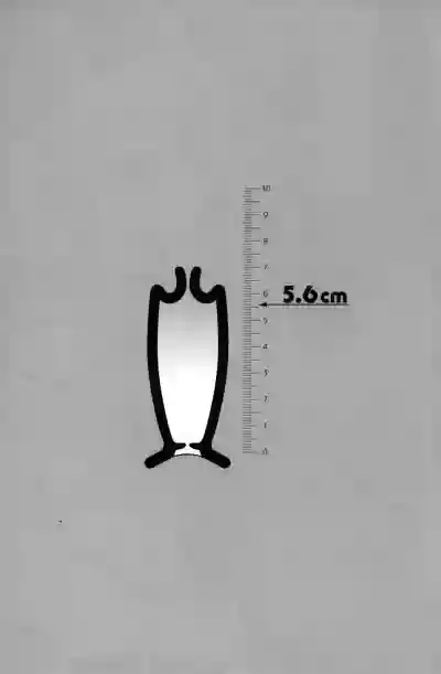 5.6cm hentai