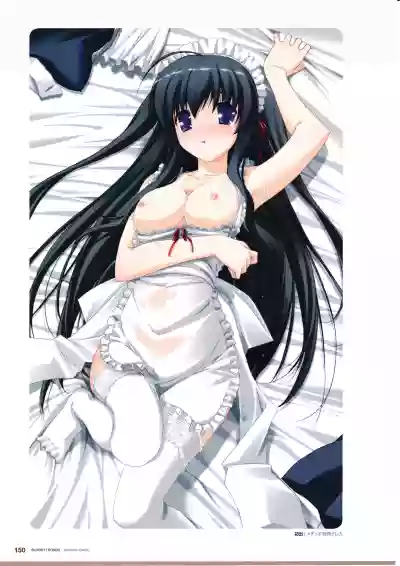 3rdEye Official Visual Fan Book RERUM MEMORIA hentai