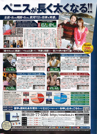Monthly Vitaman 2009-11 hentai