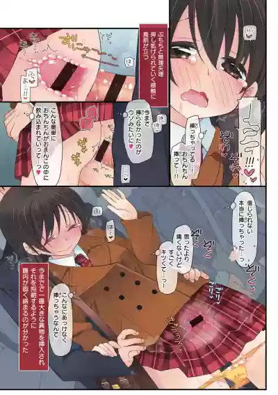 Watashi ga 3 Nenkan sareta Koto. hentai