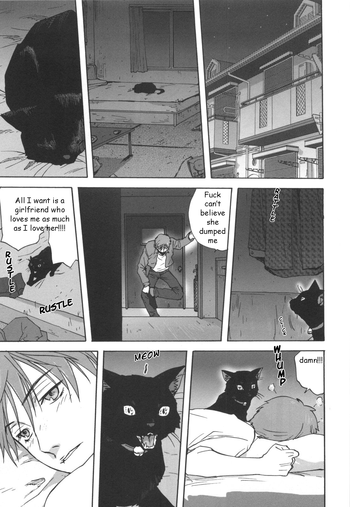 Black Cat Crossing hentai
