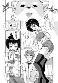 COMIC RiN 2009-10 hentai