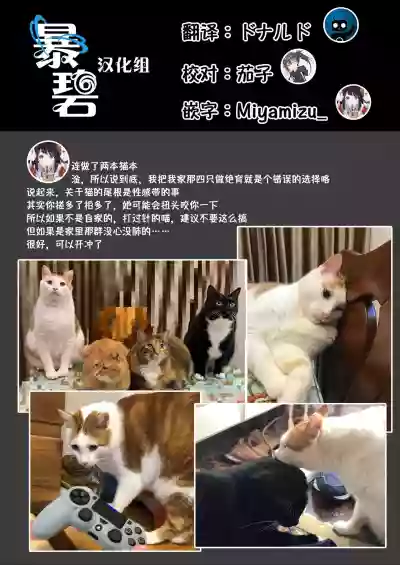 UR Neko-chans Life | UR小猫咪们的日常生活 hentai