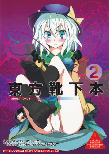 Touhou Kutsushita Bon 2 | Touhou Sock Book 2 hentai