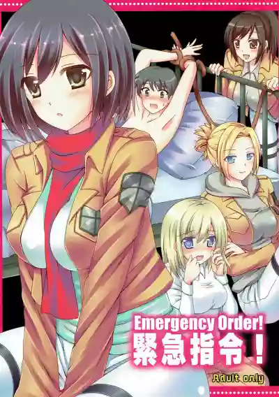 Kinkyuu Shirei! | Emergency Order! hentai