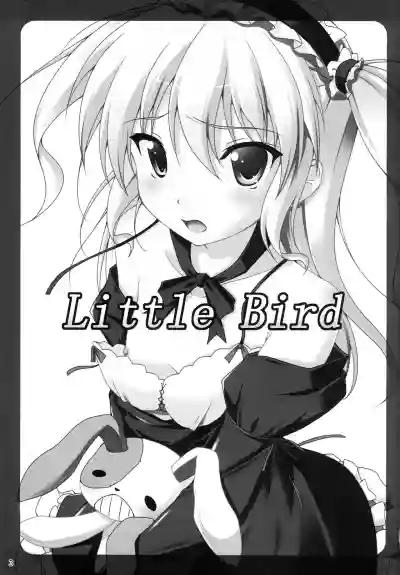 Little Bird hentai