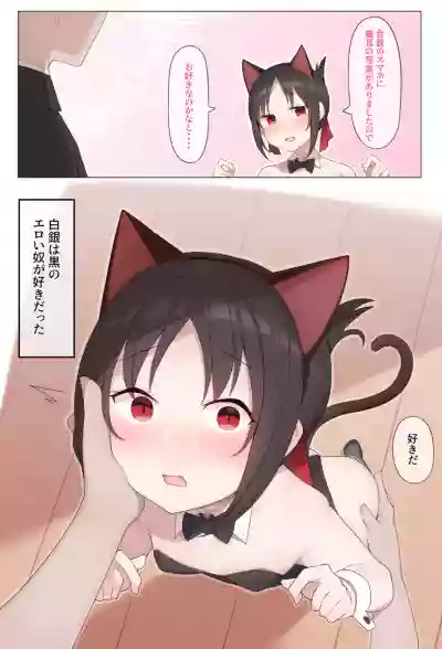 【arabi】nekomimi no kaguya-sama hentai