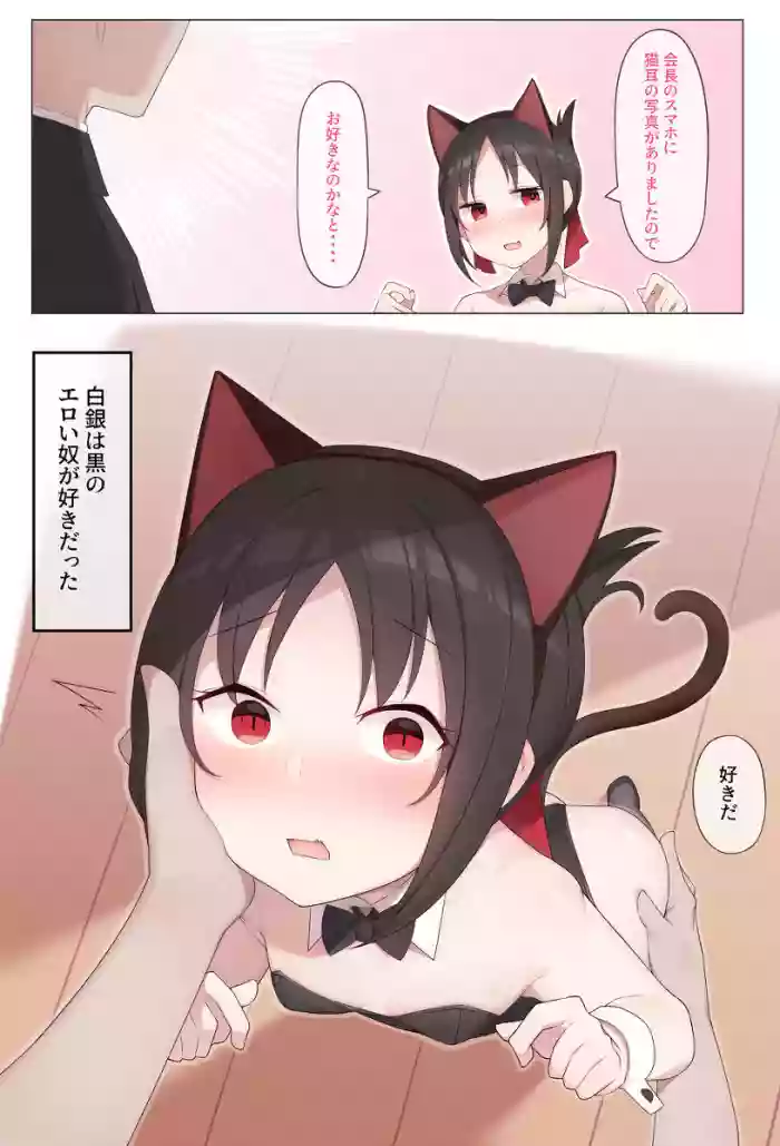 【arabi】nekomimi no kaguya-sama hentai