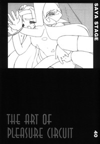 The Art of Pleasure Circuit hentai