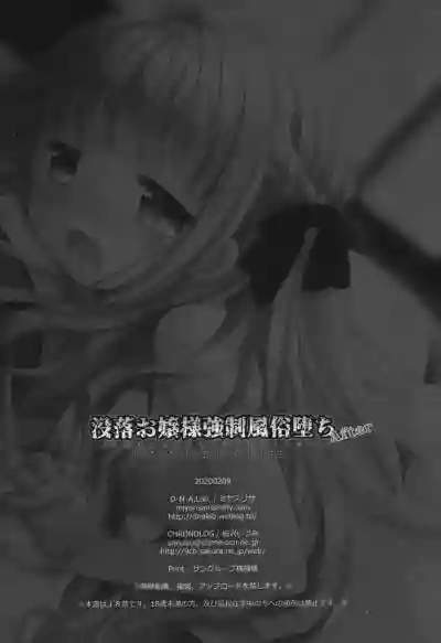 Botsuraku Ojou-sama Kyousei Fuuzoku Ochi After hentai