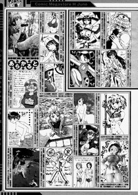 COMIC Megastore H 2004-06 hentai