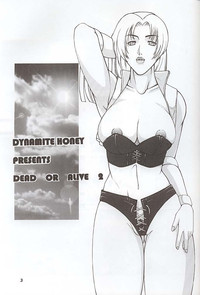 Dynamite 6 DEAD OR ALIVE 2 hentai