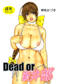 Dead or Alive hentai