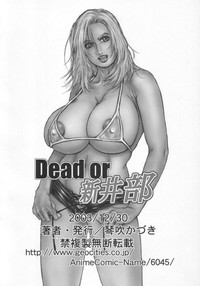 Dead or Alive hentai