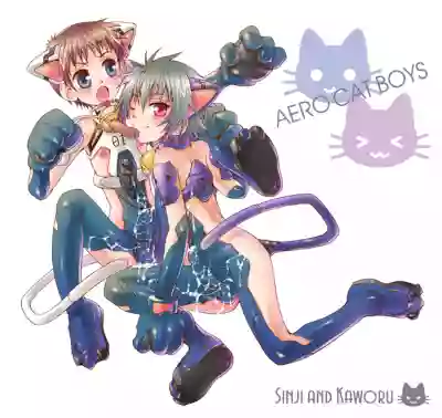 AERO CAT BOYS hentai