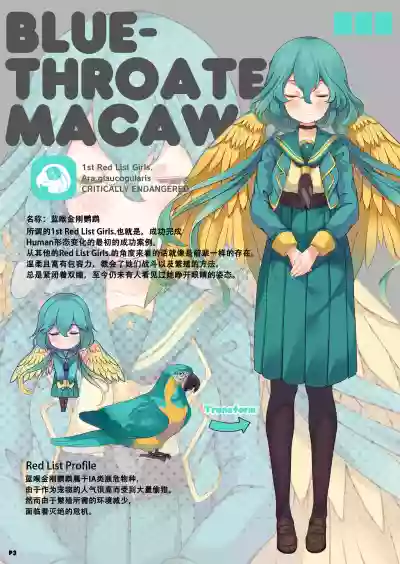 MACAW;EDUCATION hentai