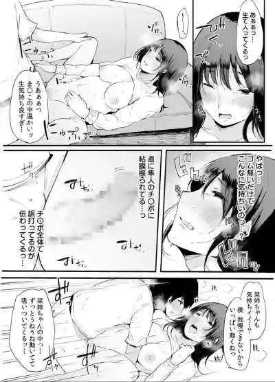 Otouto ni Ero Manga to Onaji Koto o Sare Chau o Nee-chan no Hanashi 2 hentai