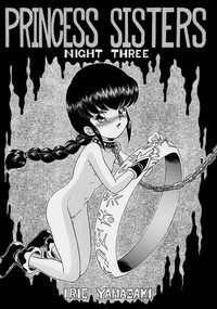 PRINCESS SISTERS NIGHT THREE hentai