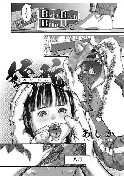 Little Girl Strike Vol. 11 hentai