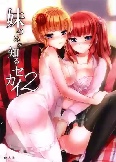 Imouto Nomi zo Shiru Sekai 2【不可视汉化】 hentai