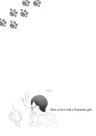 Noraneko Shoujo to no Kurashikata 2 - How to Live with a Noraneko Girl. hentai