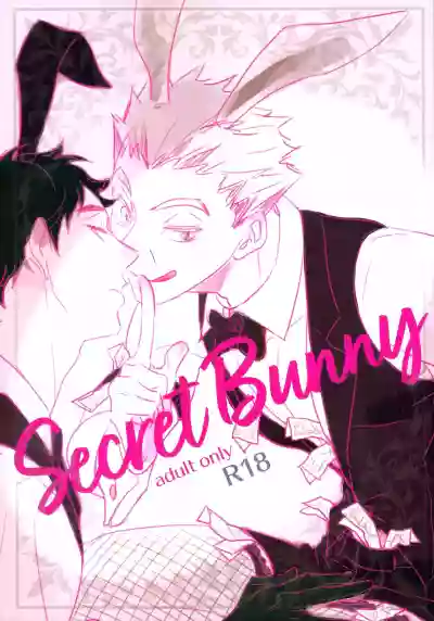 Secret Bunny hentai