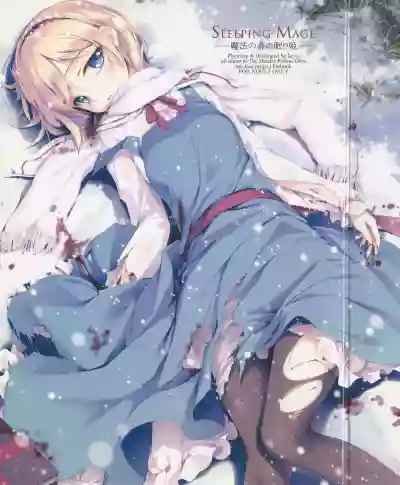 SLEEPING MAGEGekidoku Shoujo Publication Number VII hentai