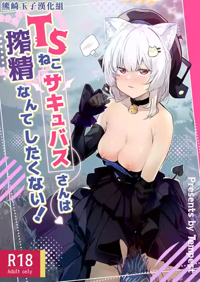 TS Neko Succubus-san wa Sakusei Nante Shitakunai! hentai