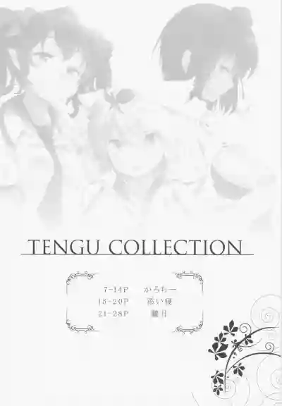 TENGU COLLECTION hentai
