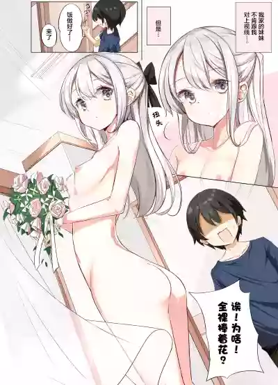 Imouto ga 1kai shika Me o Awasete kurenai | 妹妹一天只和我对上一次眼 hentai