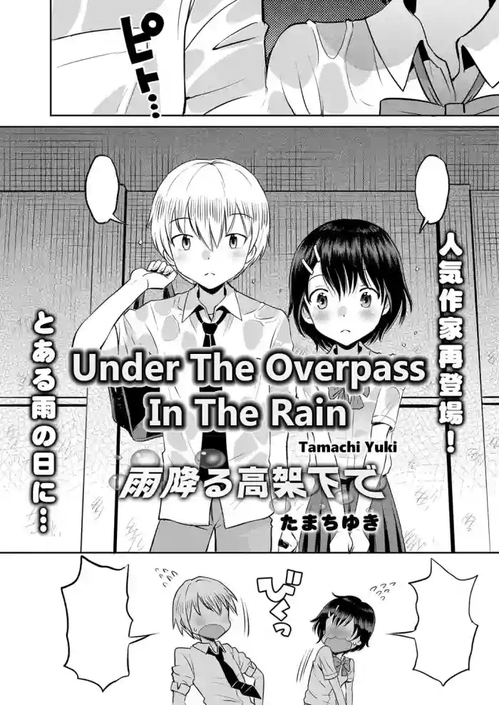 Amefuru Kouka Shita de | Under The Overpass In The Rain hentai