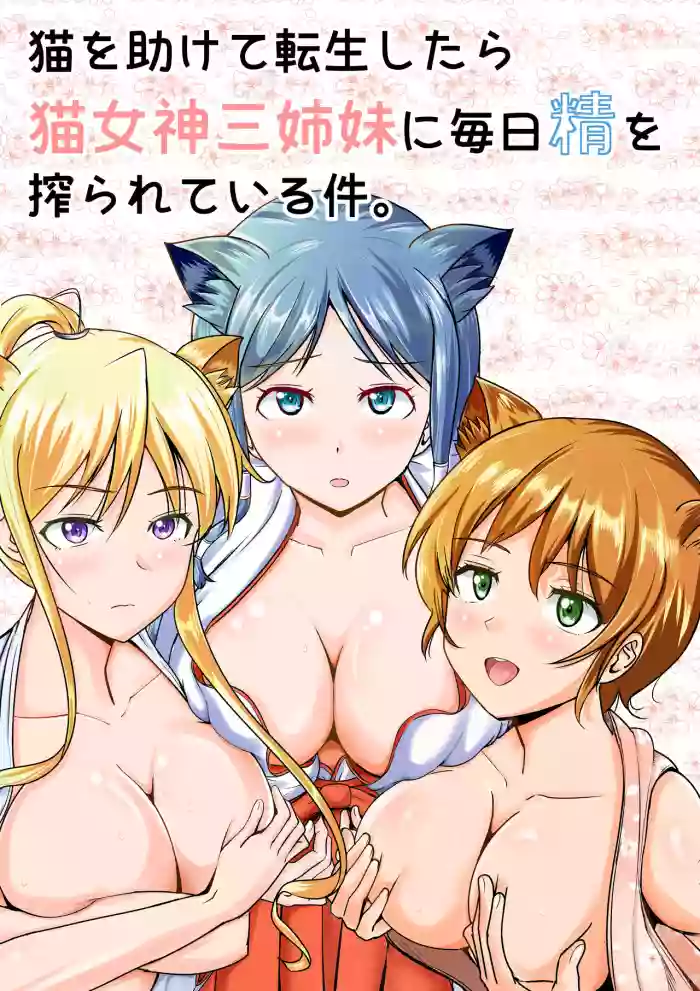 Neko o Tasukete Tensei shitara Neko Megami Sanshimai ni Mainichi Sei o Shiborarete iru Ken. hentai