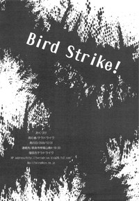 Bird Strike! hentai