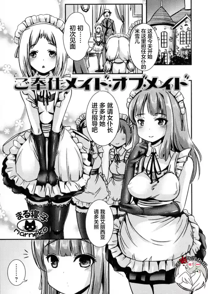 Gohoushi Maid of Maid hentai