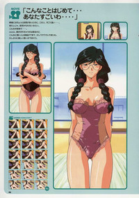 Super Real Mahjong Visual Fan Book Perfect Collection hentai