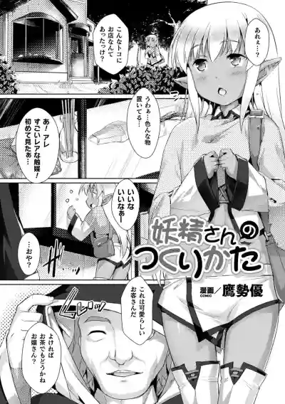 2D Comic Magazine - Syukusyouka Hiroin Kyousei Onahole Keikaku Vol. 2 hentai