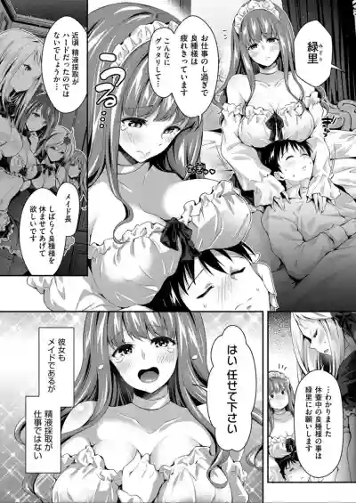 Harem Maid No Damedame Ecchi hentai