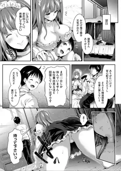 Harem Maid No Damedame Ecchi hentai