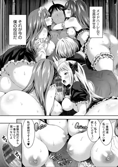 Harem Maid No Damedame Ecchi hentai