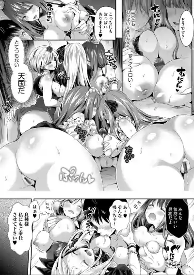 Harem Maid No Damedame Ecchi hentai