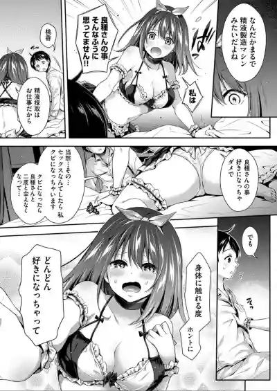 Harem Maid No Damedame Ecchi hentai