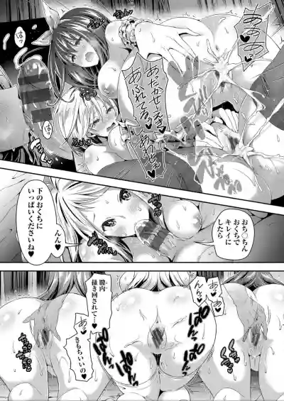 Harem Maid No Damedame Ecchi hentai