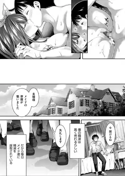 Harem Maid No Damedame Ecchi hentai