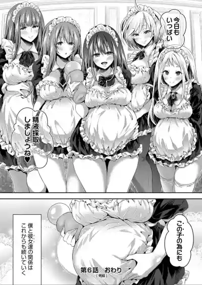 Harem Maid No Damedame Ecchi hentai